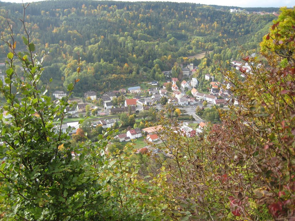 Апартаменты Gaestehaus Krone Oberndorf am Neckar Номер фото